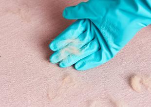 Remove Pet Hair with rubber gloves